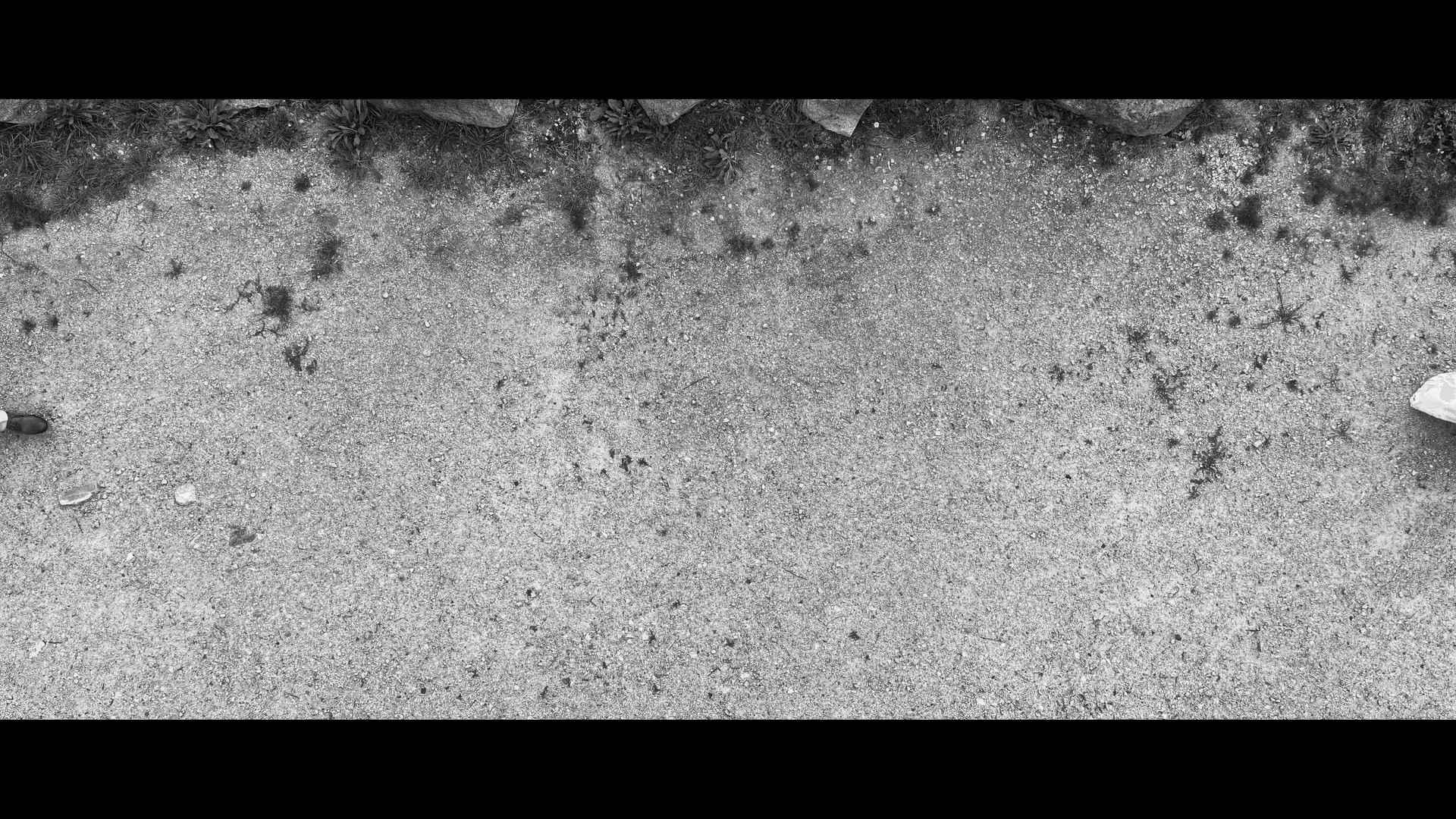 Standbild aus dem Hochzeitsfilm von Theresa & Christoph